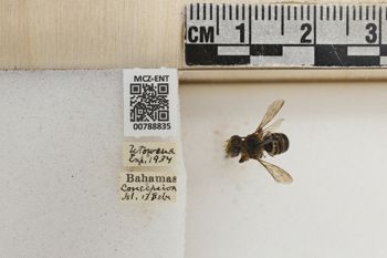 Media type: image;   Entomology 788835 Aspect: Labels